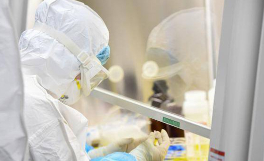 Vaccine phòng SARS-CoV-2 đạt thành công bước đầu trong thử nghiệm
